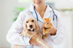 ETUDES DE MEDECINE EN ROUMANIE ?